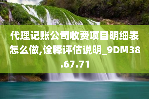 代理记账公司收费项目明细表怎么做,诠释评估说明_9DM38.67.71