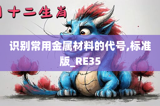 识别常用金属材料的代号,标准版_RE35