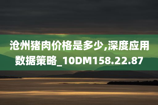 沧州猪肉价格是多少,深度应用数据策略_10DM158.22.87