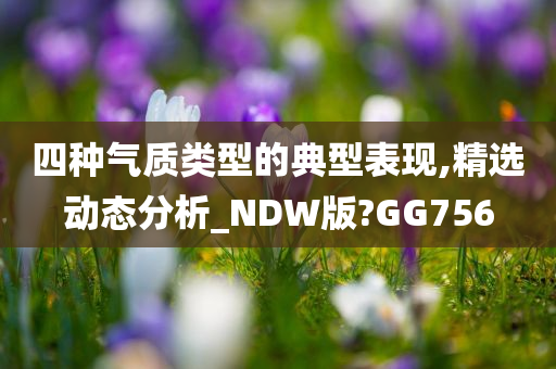 四种气质类型的典型表现,精选动态分析_NDW版?GG756