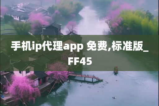 手机ip代理app 免费,标准版_FF45