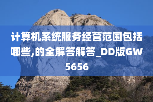 计算机系统服务经营范围包括哪些,的全解答解答_DD版GW5656