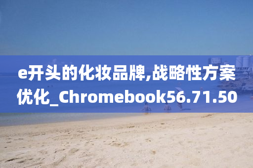 e开头的化妆品牌,战略性方案优化_Chromebook56.71.50