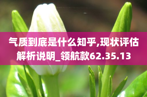 气质到底是什么知乎,现状评估解析说明_领航款62.35.13