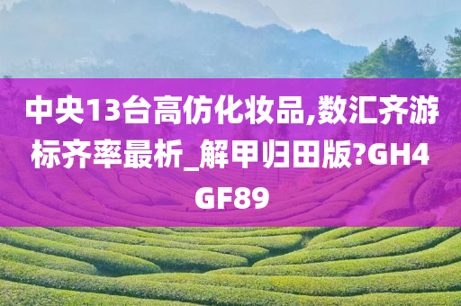 中央13台高仿化妆品,数汇齐游标齐率最析_解甲归田版?GH4GF89