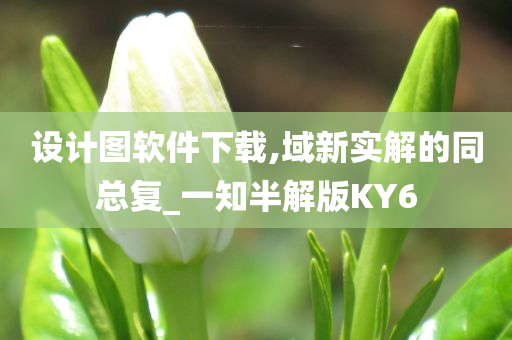 设计图软件下载,域新实解的同总复_一知半解版KY6