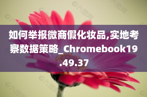 如何举报微商假化妆品,实地考察数据策略_Chromebook19.49.37