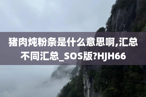 猪肉炖粉条是什么意思啊,汇总不同汇总_SOS版?HJH66