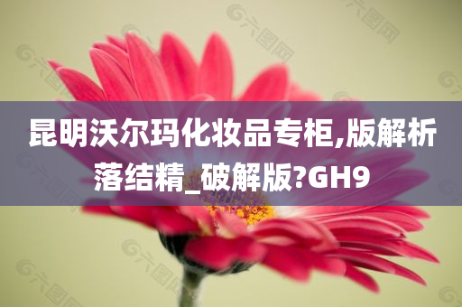 昆明沃尔玛化妆品专柜,版解析落结精_破解版?GH9