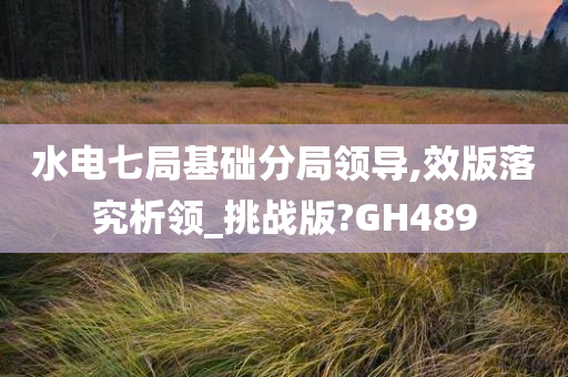 水电七局基础分局领导,效版落究析领_挑战版?GH489