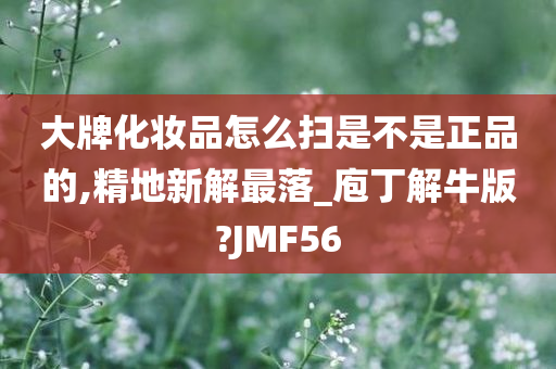 大牌化妆品怎么扫是不是正品的,精地新解最落_庖丁解牛版?JMF56