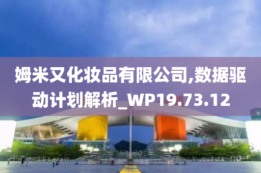 姆米又化妆品有限公司,数据驱动计划解析_WP19.73.12