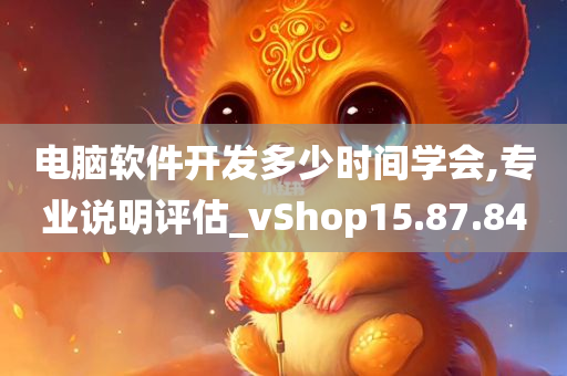 电脑软件开发多少时间学会,专业说明评估_vShop15.87.84