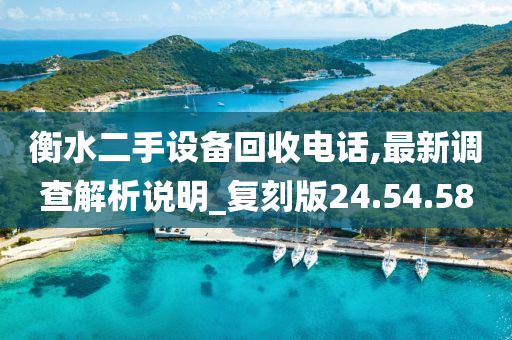 衡水二手设备回收电话,最新调查解析说明_复刻版24.54.58