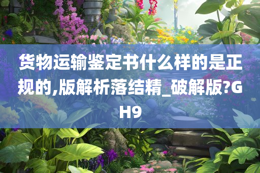 货物运输鉴定书什么样的是正规的,版解析落结精_破解版?GH9