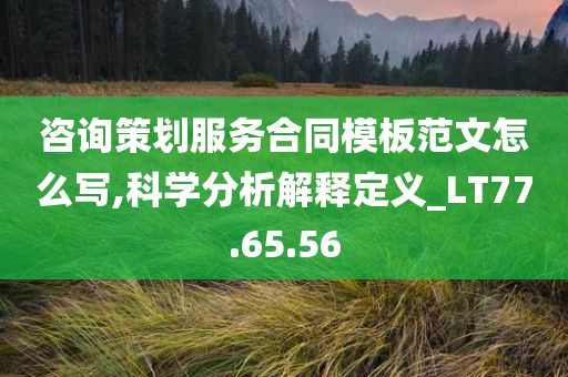 咨询策划服务合同模板范文怎么写,科学分析解释定义_LT77.65.56