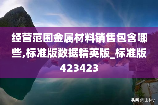 经营范围金属材料销售包含哪些,标准版数据精英版_标准版423423