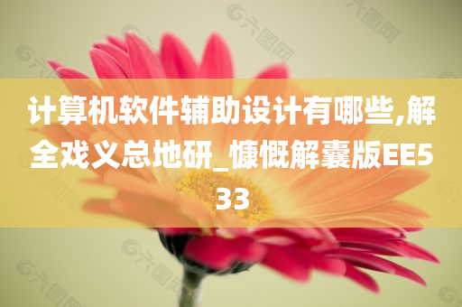 计算机软件辅助设计有哪些,解全戏义总地研_慷慨解囊版EE533