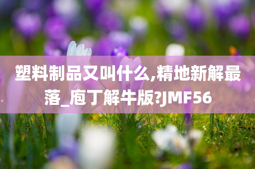 塑料制品又叫什么,精地新解最落_庖丁解牛版?JMF56