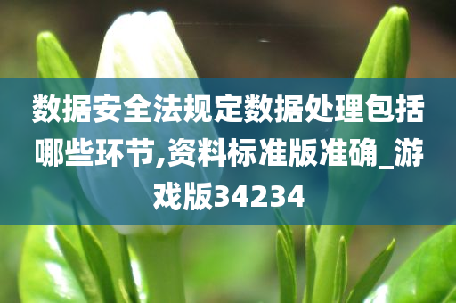 数据安全法规定数据处理包括哪些环节,资料标准版准确_游戏版34234