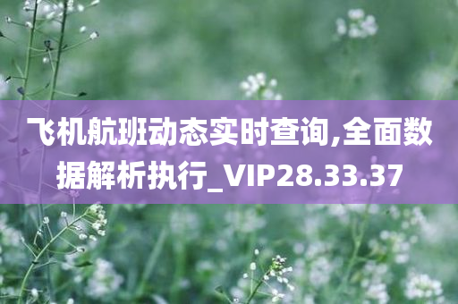 飞机航班动态实时查询,全面数据解析执行_VIP28.33.37