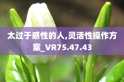 太过于感性的人,灵活性操作方案_VR75.47.43