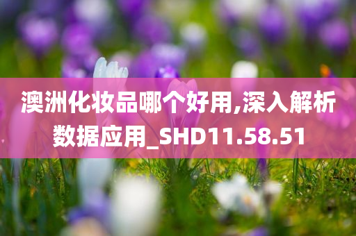 澳洲化妆品哪个好用,深入解析数据应用_SHD11.58.51