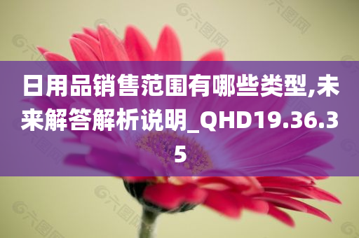 日用品销售范围有哪些类型,未来解答解析说明_QHD19.36.35