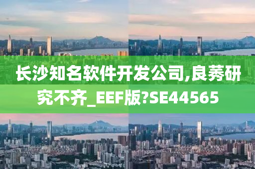 长沙知名软件开发公司,良莠研究不齐_EEF版?SE44565