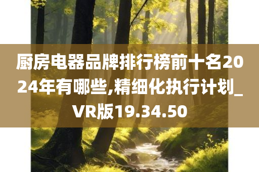 厨房电器品牌排行榜前十名2024年有哪些,精细化执行计划_VR版19.34.50