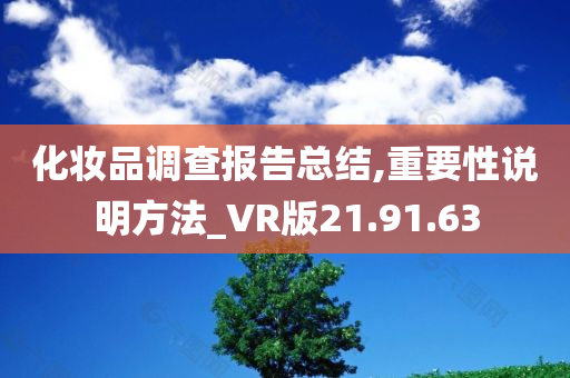 化妆品调查报告总结,重要性说明方法_VR版21.91.63