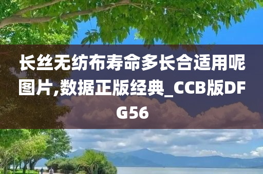 长丝无纺布寿命多长合适用呢图片,数据正版经典_CCB版DFG56