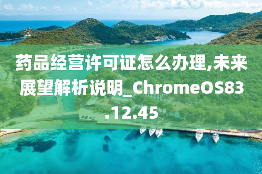 药品经营许可证怎么办理,未来展望解析说明_ChromeOS83.12.45