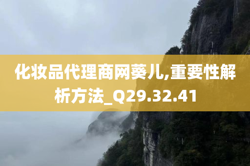 化妆品代理商网葵儿,重要性解析方法_Q29.32.41