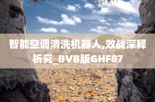 智能空调清洗机器人,效战深释析究_BVB版GHF87