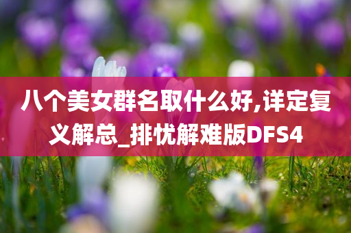 八个美女群名取什么好,详定复义解总_排忧解难版DFS4