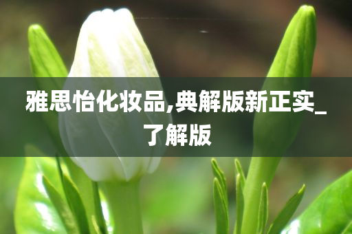 雅思怡化妆品,典解版新正实_了解版