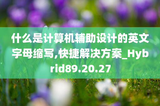 什么是计算机辅助设计的英文字母缩写,快捷解决方案_Hybrid89.20.27