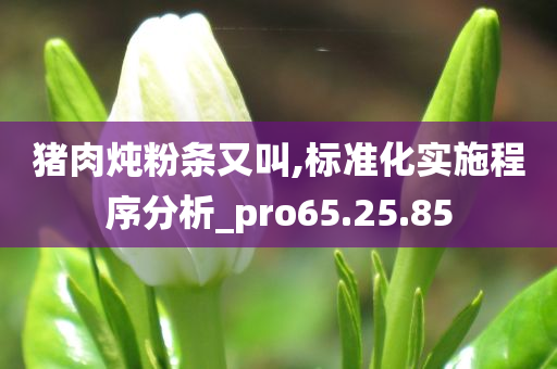 猪肉炖粉条又叫,标准化实施程序分析_pro65.25.85