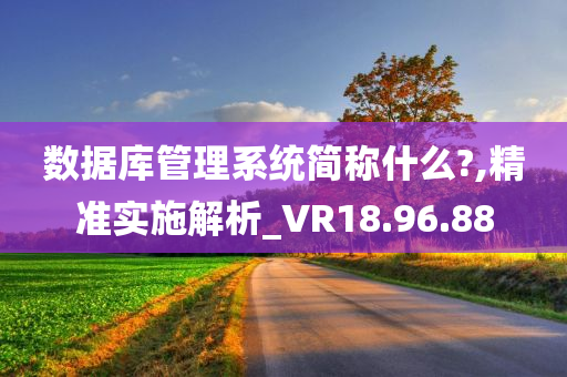 数据库管理系统简称什么?,精准实施解析_VR18.96.88