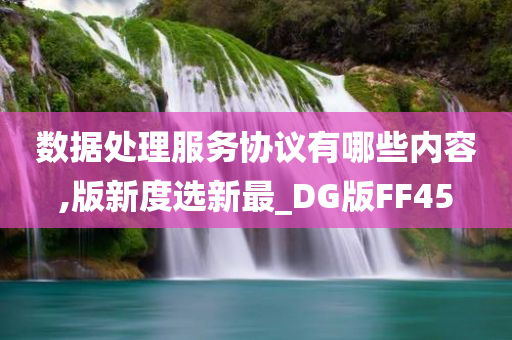 数据处理服务协议有哪些内容,版新度选新最_DG版FF45