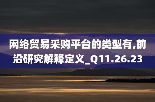 网络贸易采购平台的类型有,前沿研究解释定义_Q11.26.23