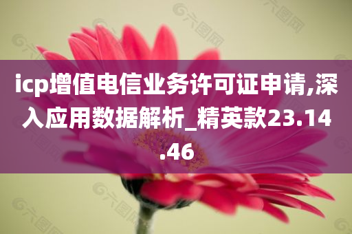 icp增值电信业务许可证申请,深入应用数据解析_精英款23.14.46