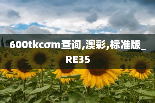 600tkcσm查询,澳彩,标准版_RE35