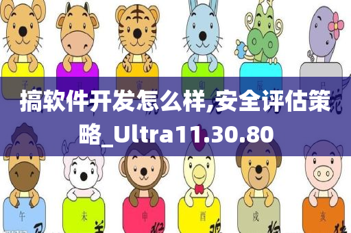 搞软件开发怎么样,安全评估策略_Ultra11.30.80