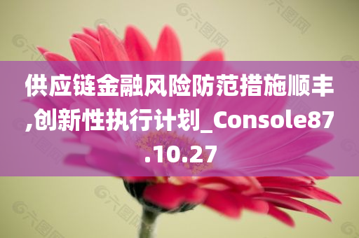 供应链金融风险防范措施顺丰,创新性执行计划_Console87.10.27