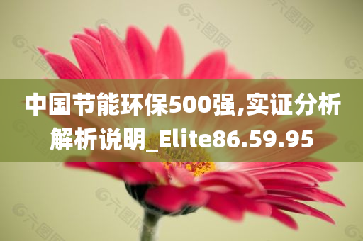 中国节能环保500强,实证分析解析说明_Elite86.59.95