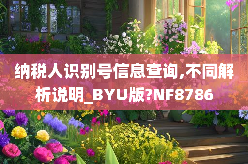 纳税人识别号信息查询,不同解析说明_BYU版?NF8786