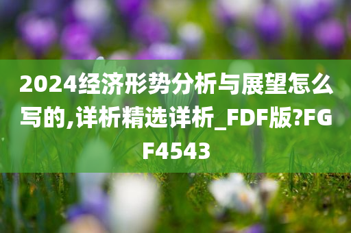 2024经济形势分析与展望怎么写的,详析精选详析_FDF版?FGF4543