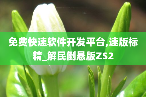 免费快速软件开发平台,速版标精_解民倒悬版ZS2